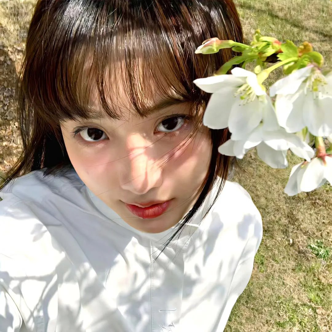 红盾先锋